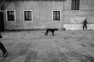 Susanne Bartels | Photography | Venedig März 2023